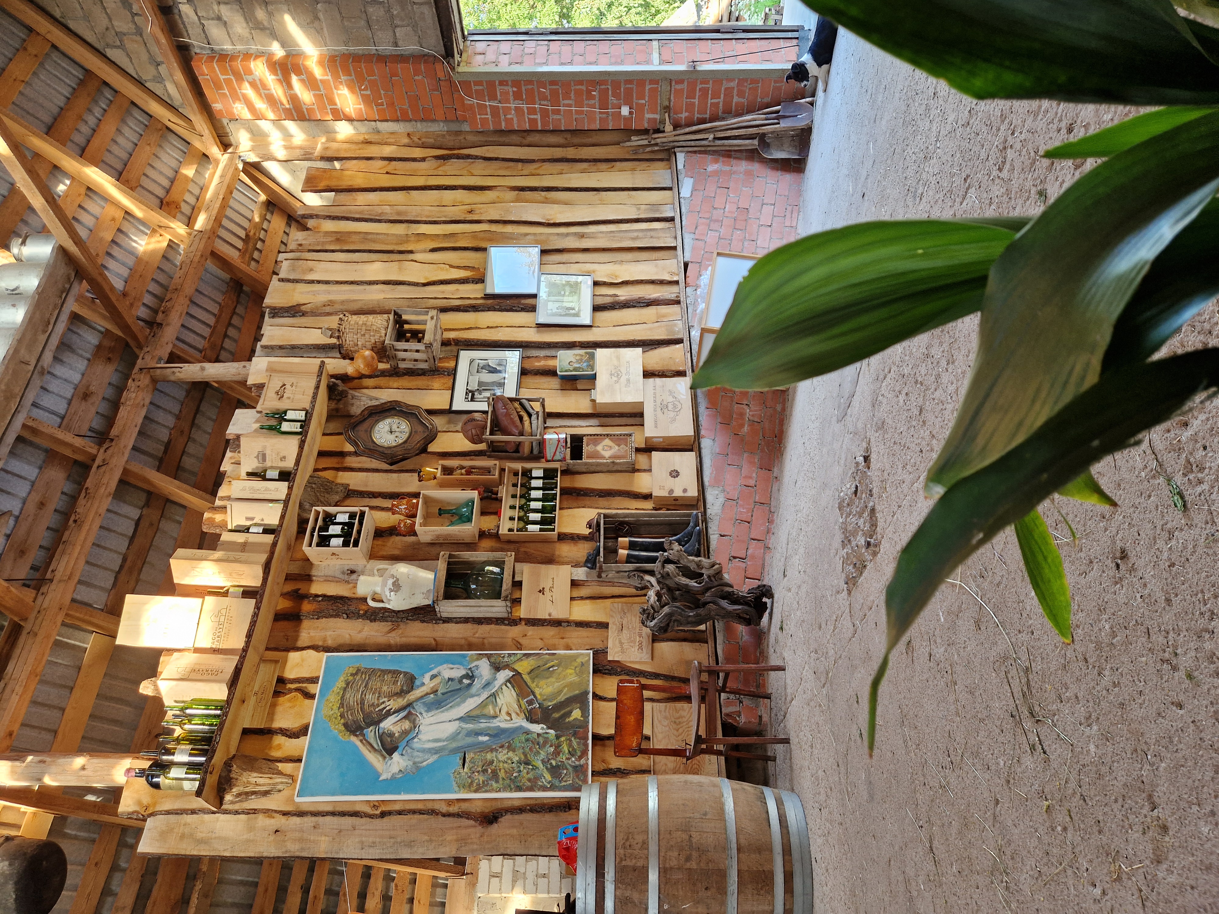 Albums: Saimniecība